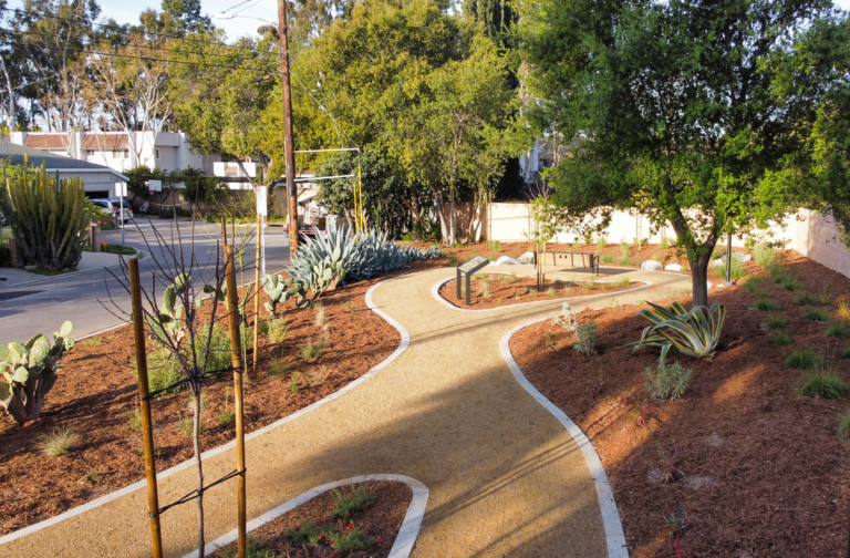 rubber walking path through desert garden